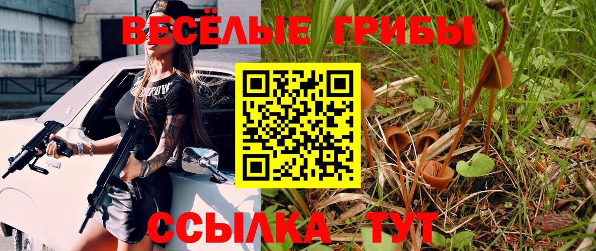 Галлюциногенные грибы Cubensis Унеча